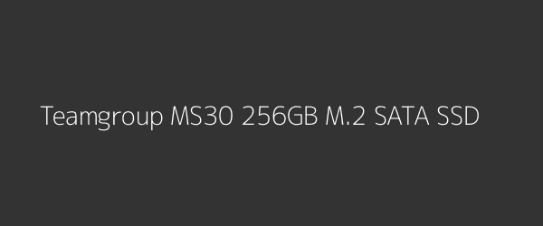 Teamgroup MS30 256GB M.2 SATA SSD